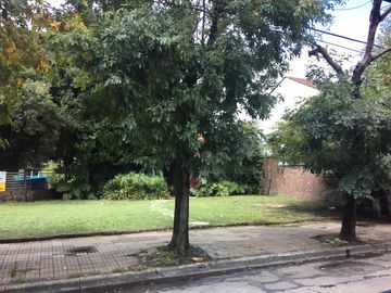 25 de mayo al 500