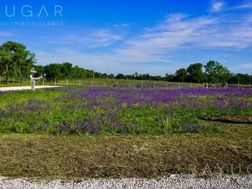 Lotes en Venta - Lomas de Manzanares - Pilar - Sin expensas