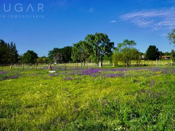 Lotes en Venta - Lomas de Manzanares - Pilar - Sin expensas