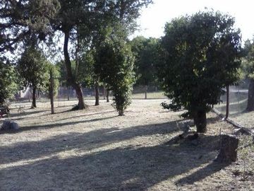 RESERVADO!!! Casa Quinta en VENTA - 3 dormitorios - Amplio terreno - Molinari -  Sierras de Córdoba