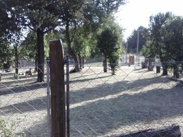 RESERVADO!!! Casa Quinta en VENTA - 3 dormitorios - Amplio terreno - Molinari -  Sierras de Córdoba