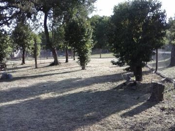 RESERVADO!!! Casa Quinta en VENTA - 3 dormitorios - Amplio terreno - Molinari -  Sierras de Córdoba