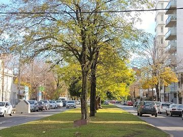 Departamento en  venta en La Plata