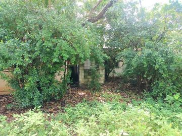Casa en Venta de una planta en la Col. Itzimná en esquina con amplio terreno