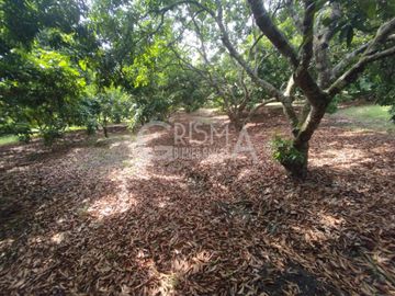 PRECIOSA FINCA EN VENTA A 10 MIN DE TUXPAN