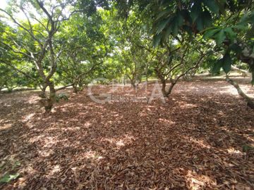 PRECIOSA FINCA EN VENTA A 10 MIN DE TUXPAN
