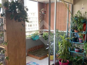 Departamento en Venta en La Marina / San Ignacio