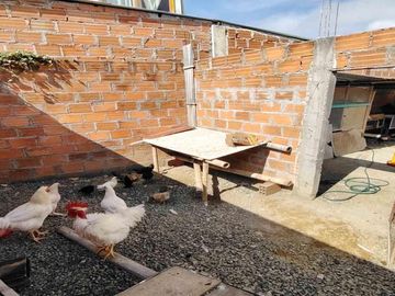 CASA EN VENTA ALTAGRACIA PEREIRA