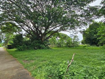Land for sale in Don Kaeo, Chiang Mai