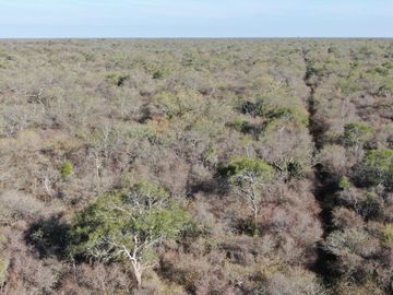 VENTA Campo Ganadero en Morillo Rivadavia