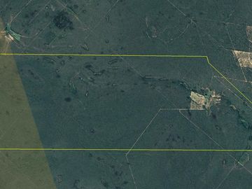 VENTA Campo Ganadero en Morillo Rivadavia