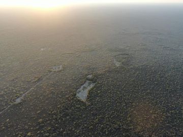 VENTA Campo Ganadero en Morillo Rivadavia