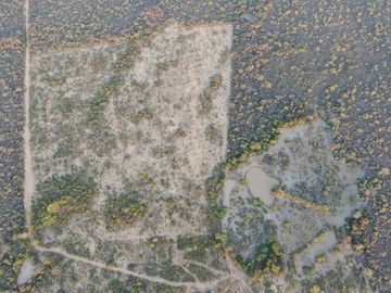 VENTA Campo Ganadero en Morillo Rivadavia