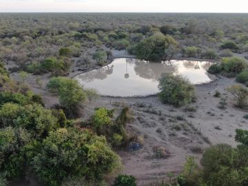 VENTA Campo Ganadero en Morillo Rivadavia