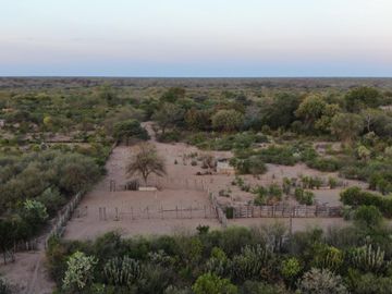 VENTA Campo Ganadero en Morillo Rivadavia