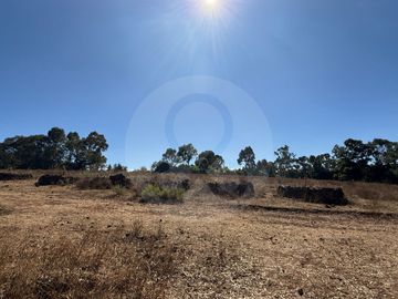 Finca en venta en San Antonio Arroyo Zarco
