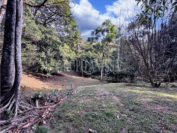Oportunidad! Se Vende Casa con Amplio lote en Cerro Azul