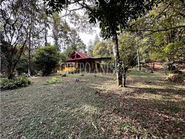 Oportunidad! Se Vende Casa con Amplio lote en Cerro Azul