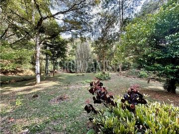 Oportunidad! Se Vende Casa con Amplio lote en Cerro Azul