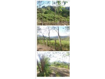 VENDO FINCA 205 HECTAREAS  EOLICAS