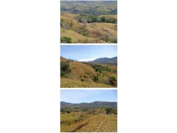 VENDO FINCA 205 HECTAREAS  EOLICAS