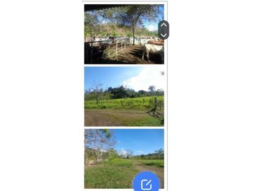 VENDO FINCA 205 HECTAREAS  EOLICAS