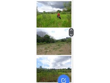 VENDO FINCA 205 HECTAREAS  EOLICAS