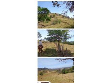 VENDO FINCA 205 HECTAREAS  EOLICAS
