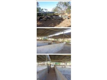 VENDO FINCA 205 HECTAREAS  EOLICAS