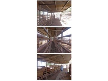 VENDO FINCA 205 HECTAREAS  EOLICAS