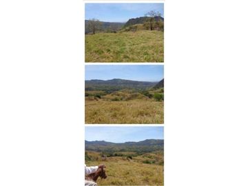 VENDO FINCA 205 HECTAREAS  EOLICAS