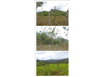 VENDO FINCA 205 HECTAREAS  EOLICAS