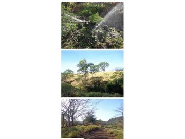 VENDO FINCA 205 HECTAREAS  EOLICAS