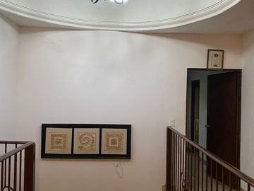 PALMITOS CADEREYTA JIMENEZ NUEVO LEON