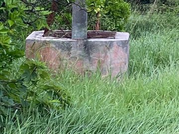 PALMITOS CADEREYTA JIMENEZ NUEVO LEON