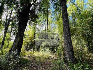 Alto Las Vertientes, Muquén, camino Villarrica Loncoche, La Araucanía