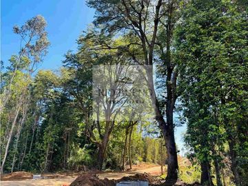 Alto Las Vertientes, Muquén, camino Villarrica Loncoche, La Araucanía