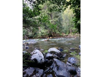 Orilla de río