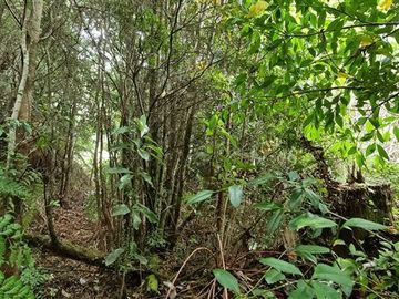 Parcela en Venta en LOTEO HACIENDA CHAMIZA