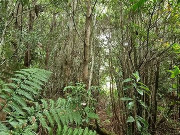 Parcela en Venta en LOTEO HACIENDA CHAMIZA
