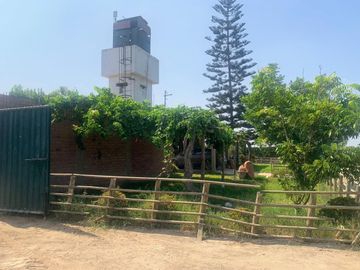 VENDO TERRENO AGRICOLA EN QUILMANA - CAÑETE
