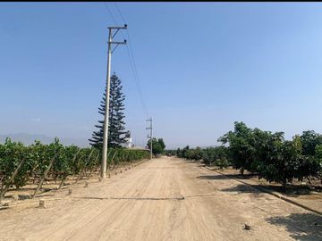 VENDO TERRENO AGRICOLA EN QUILMANA - CAÑETE