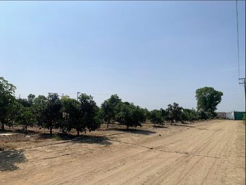 VENDO TERRENO AGRICOLA EN QUILMANA - CAÑETE