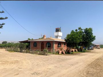VENDO TERRENO AGRICOLA EN QUILMANA - CAÑETE