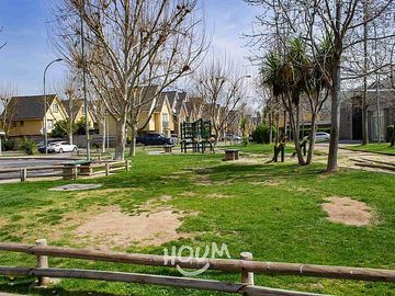 GUANACO NORTE