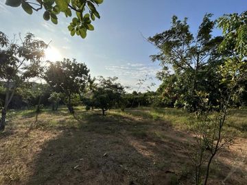 VENTA FINCA EN GENERAL VILLAMIL PLAYAS 5.000M2 (JLR)