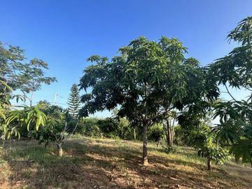 VENTA FINCA EN GENERAL VILLAMIL PLAYAS 5.000M2 (JLR)