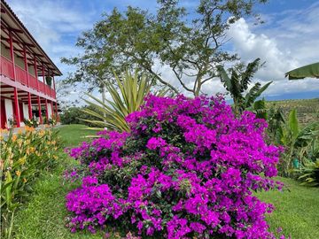 ALQUILER HERMOSA CASA DE CAMPO VIA PEREIRA - ARMENIA