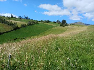 Terreno en  VENTA SECTOR AYORA CAYAMBE