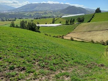 Terreno en  VENTA SECTOR AYORA CAYAMBE